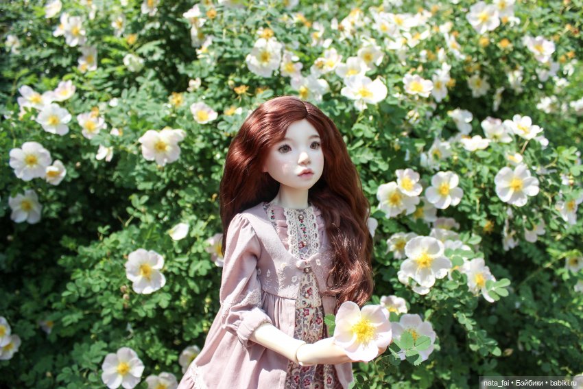 Файлин и царство шиповника