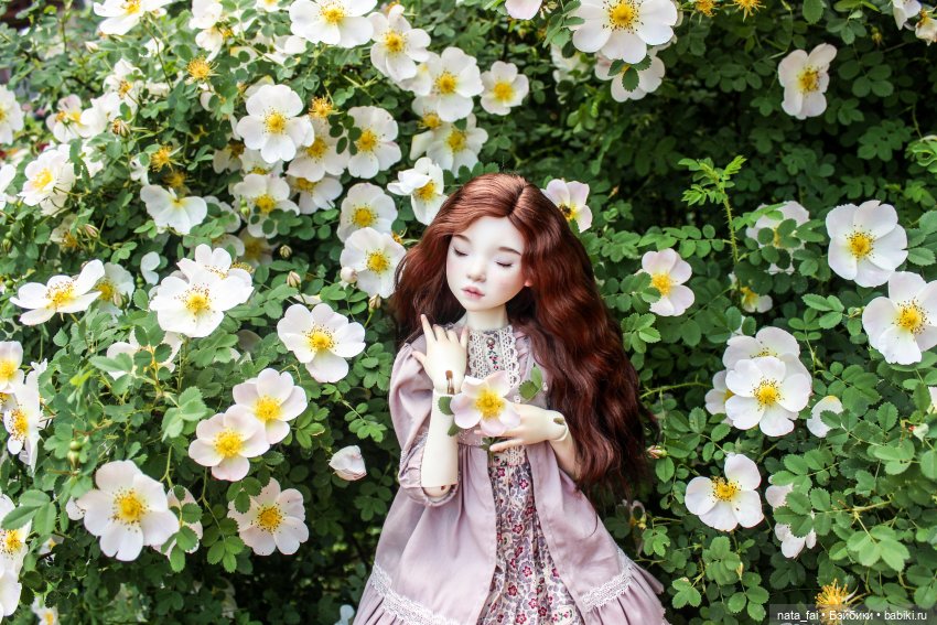 Файлин и царство шиповника