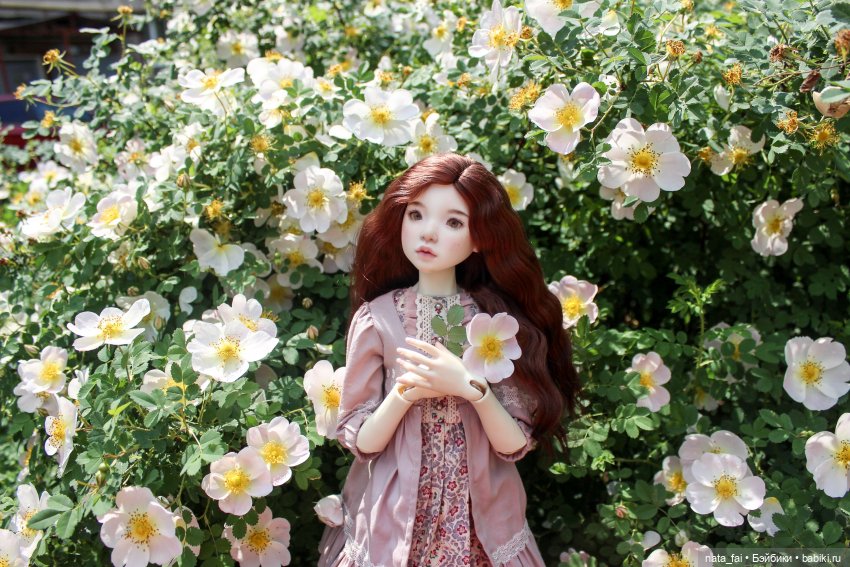 Файлин и царство шиповника