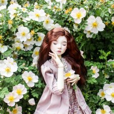 Файлин и царство шиповника