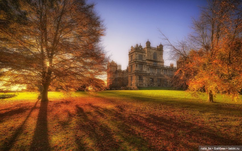 "Хрупкая жизнь", глава 20 (фото 4)