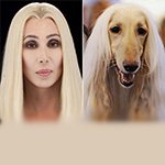 Забавно! Для поднятия настроения