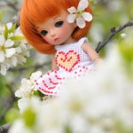 Цветочная фея (или давайте познакомимся)