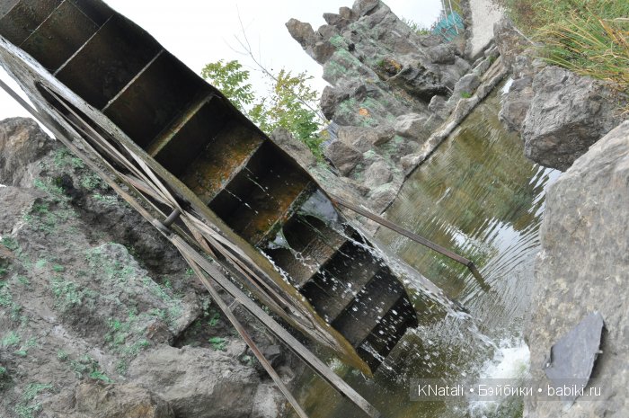 Прогулка по конному двору