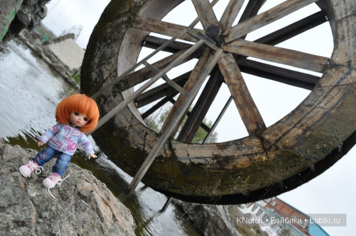 Прогулка по конному двору