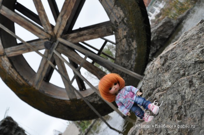 Прогулка по конному двору