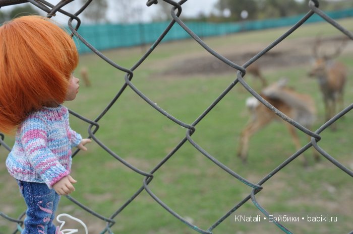 Прогулка по конному двору