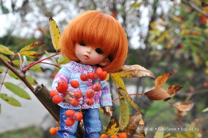 Прогулка по конному двору (фото 6)