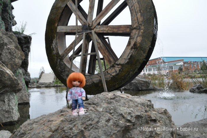 Прогулка по конному двору