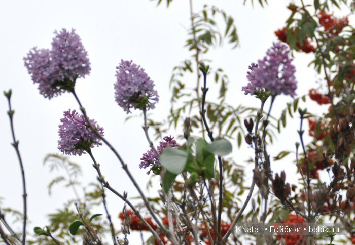 Прогулка по конному двору (фото 8)