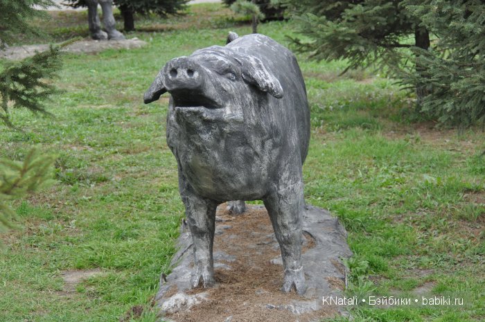 Прогулка по конному двору