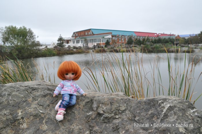 Прогулка по конному двору