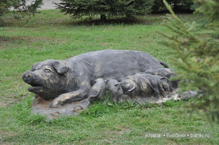 Прогулка по конному двору