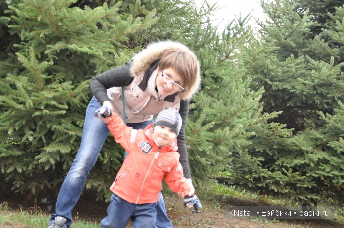 Прогулка по конному двору