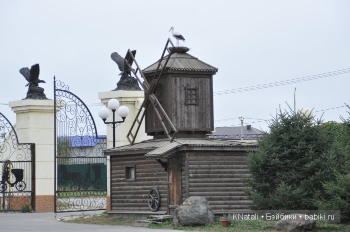 Прогулка по конному двору