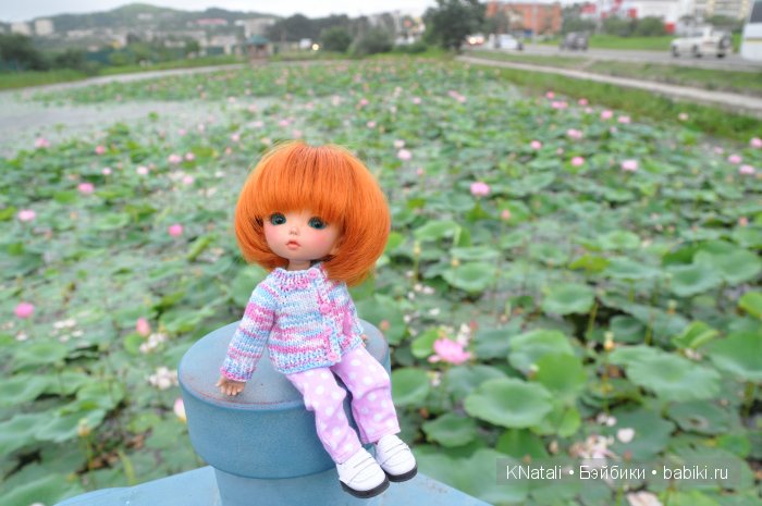 Отпуск. Часть 2 - водопады, лотосы, крабы... И возвращение домой