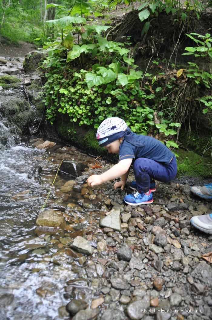 Отпуск. Часть 2 - водопады, лотосы, крабы... И возвращение домой