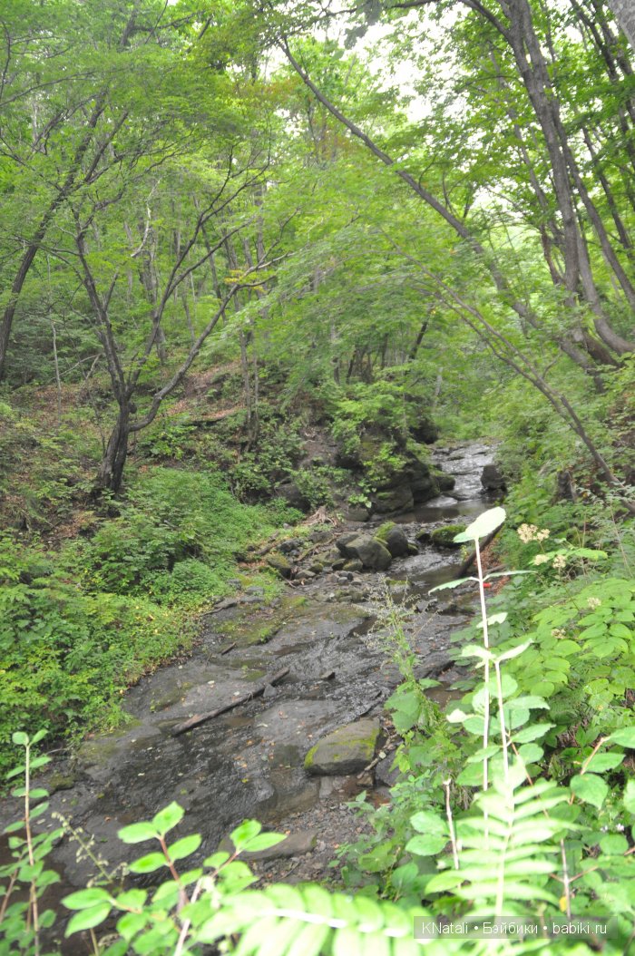 Отпуск. Часть 2 - водопады, лотосы, крабы... И возвращение домой