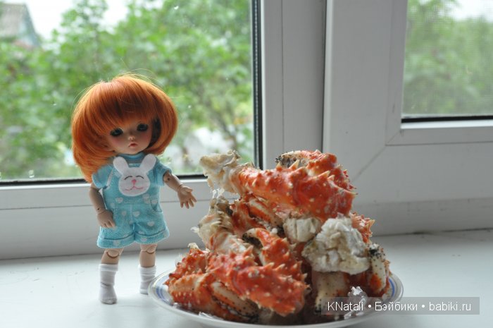 Отпуск. Часть 2 - водопады, лотосы, крабы... И возвращение домой