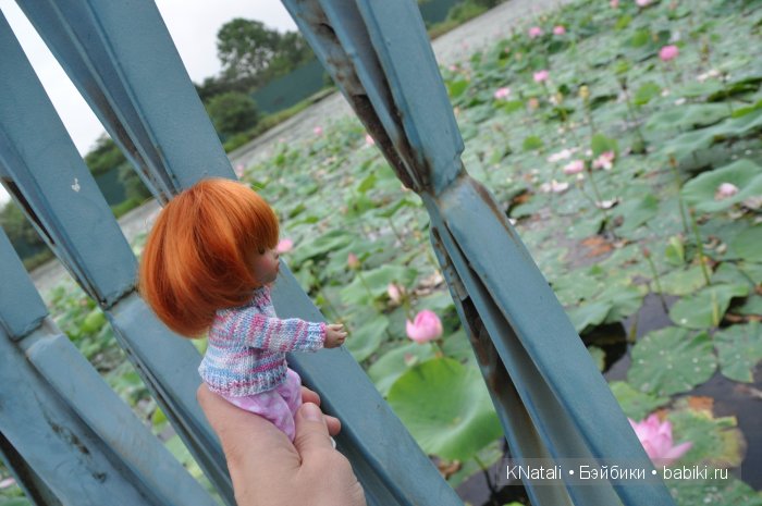 Отпуск. Часть 2 - водопады, лотосы, крабы... И возвращение домой