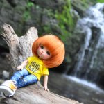 Отпуск. Часть 2 - водопады, лотосы, крабы... И возвращение домой