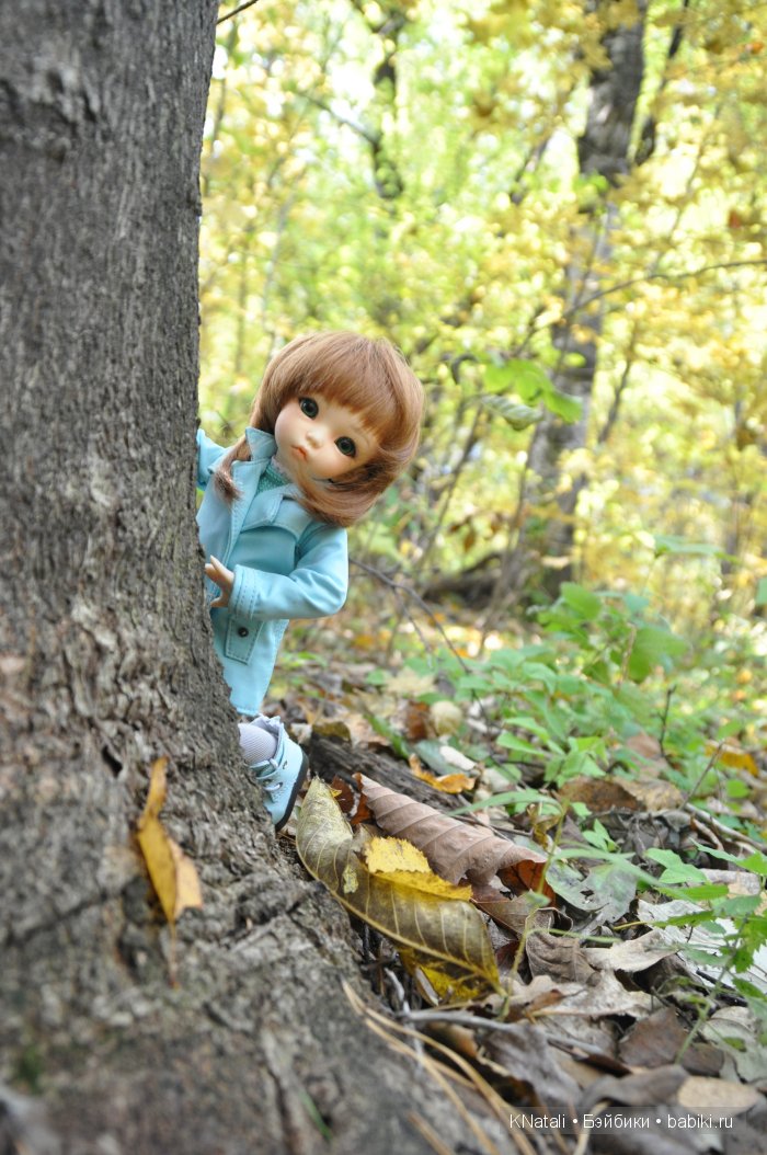 Прогулка по дендрарию. Хабаровск (фото 8)