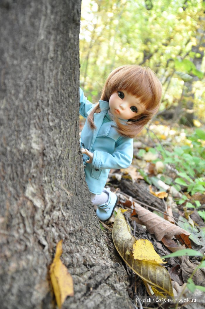 Прогулка по дендрарию. Хабаровск (фото 9)