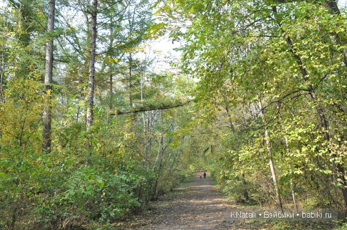 Прогулка по дендрарию. Хабаровск