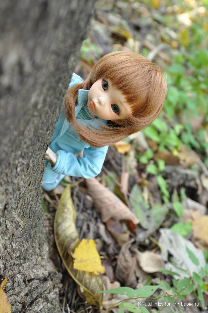 Прогулка по дендрарию. Хабаровск (фото 10)