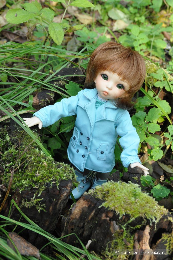 Прогулка по дендрарию. Хабаровск (фото 3)