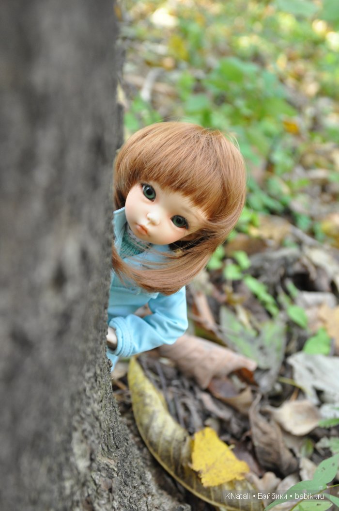 Прогулка по дендрарию. Хабаровск