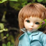 Прогулка по дендрарию. Хабаровск