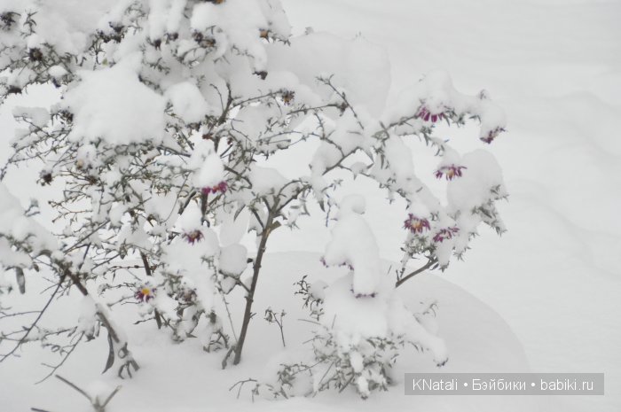 Вот и к нам пришла зима | Бэйбики Вот и к нам пришла зима — Куклы Fairyland (ФэйриЛэнд): BJD (БЖД)