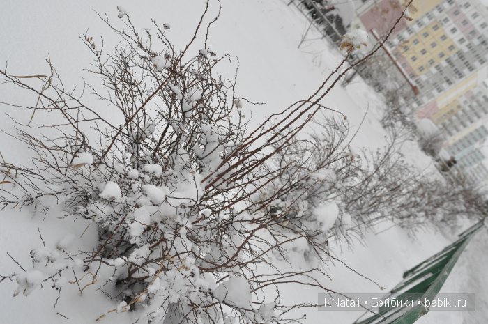 Вот и к нам пришла зима | Бэйбики Вот и к нам пришла зима — Куклы Fairyland (ФэйриЛэнд): BJD (БЖД) (фото 5)