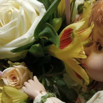 К сожалению, день рождения