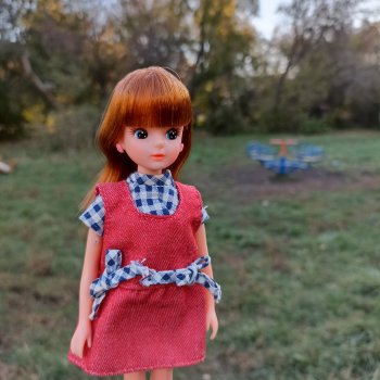 Новая история