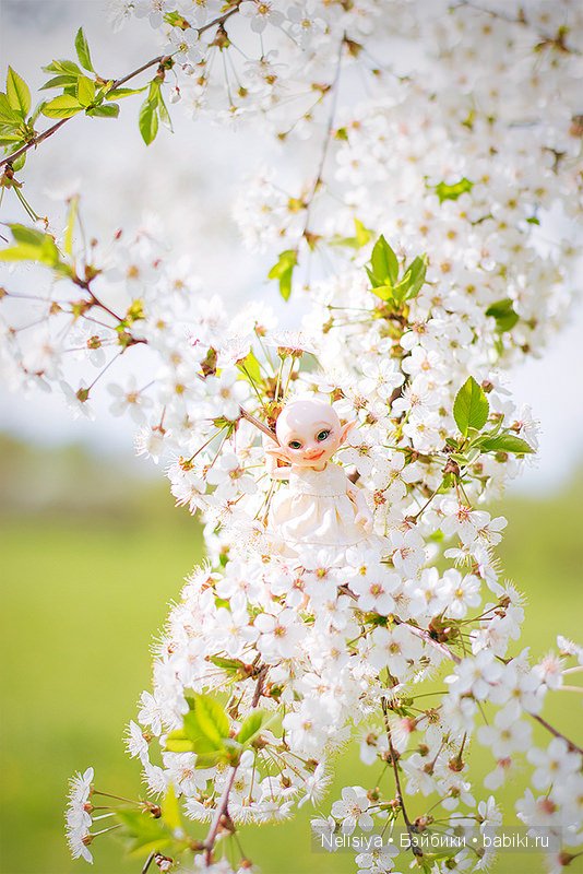 Летающее чудо Чижик | Бэйбики Летающее чудо Чижик — Куклы Fairyland (ФэйриЛэнд): BJD (БЖД) (фото 6)