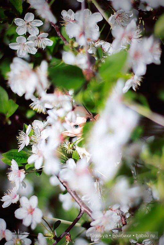 Летающее чудо Чижик | Бэйбики Летающее чудо Чижик — Куклы Fairyland (ФэйриЛэнд): BJD (БЖД)