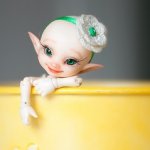 Чижик и лейка. Toki, Realpuki