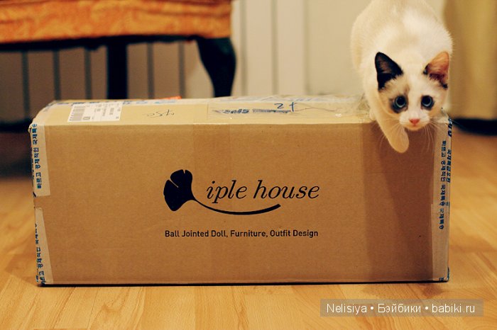 От Кэсси до Тэссы. Как изменялась кукла за 5 лет