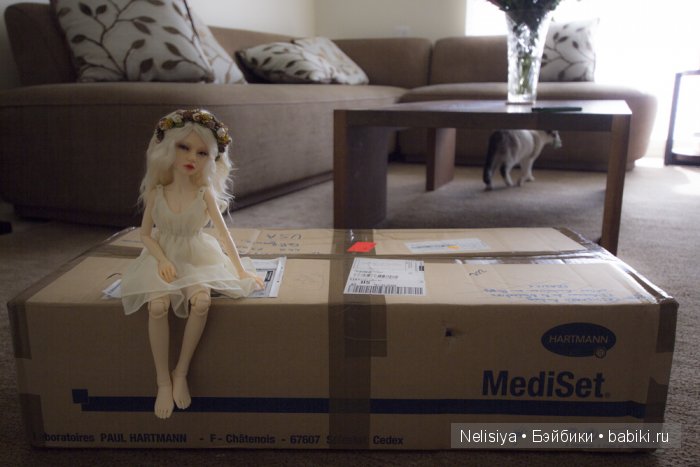 От Кэсси до Тэссы. Как изменялась кукла за 5 лет