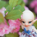 Ещё больше весны, цветения и... Чижика!