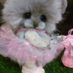 Лёка - смешная девчонка!