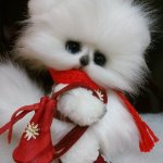 Лапус... Санта Лапус, игрушка  ручной работы