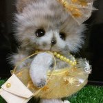 Захарка и Фанни. Авторские игрушки ручной работы