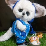 Мои новые малыши Филька и Лаки, игрушки ручной работы