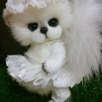 Энжи - мой Ангелочек мишка тедди