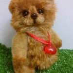 Луиджи - мой кудрявый мишка тедди