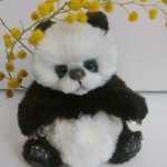 Минь По, весенняя пандочка. Мишка тедди