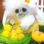 Ромашка - моя весенняя зайка, игрушка  ручной работы